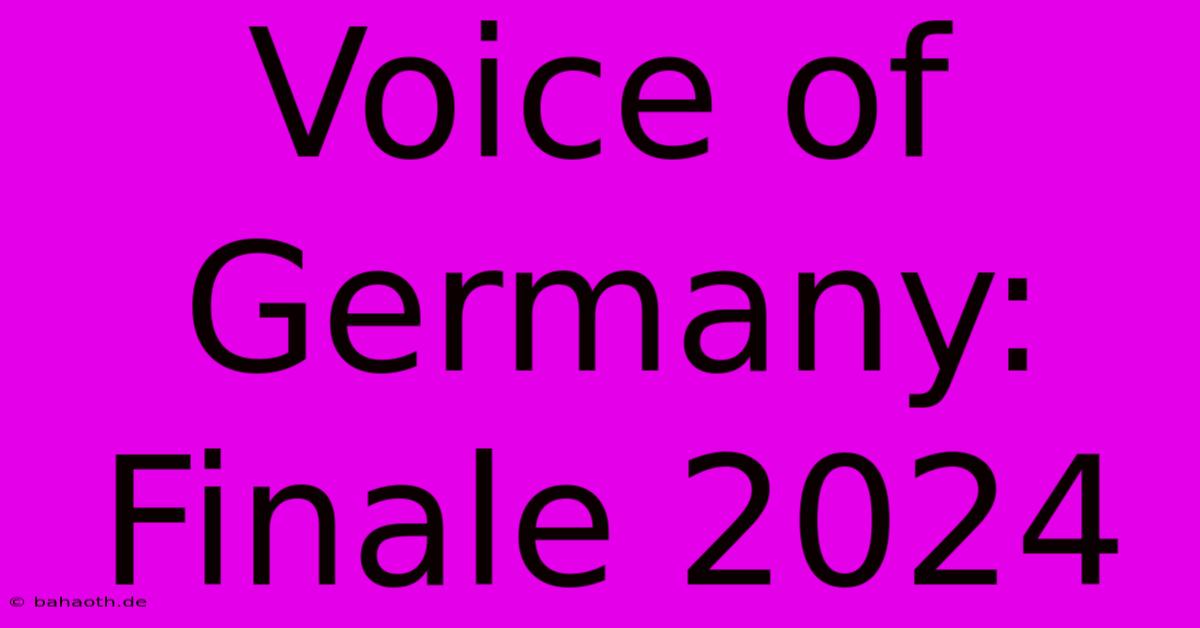 Voice Of Germany: Finale 2024