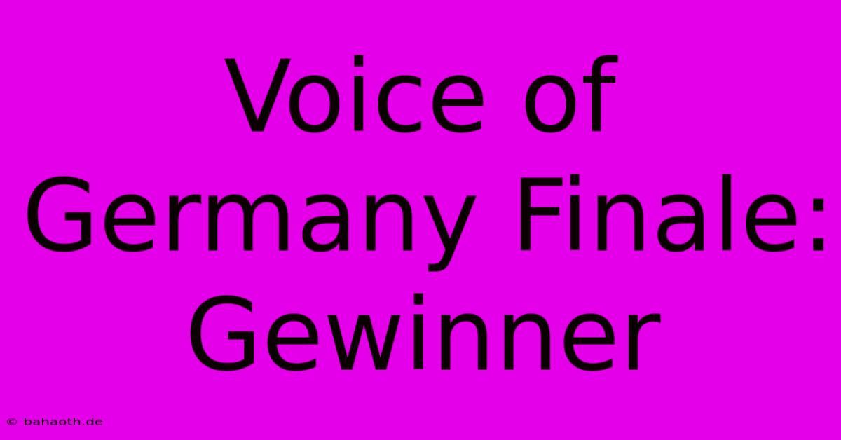 Voice Of Germany Finale: Gewinner