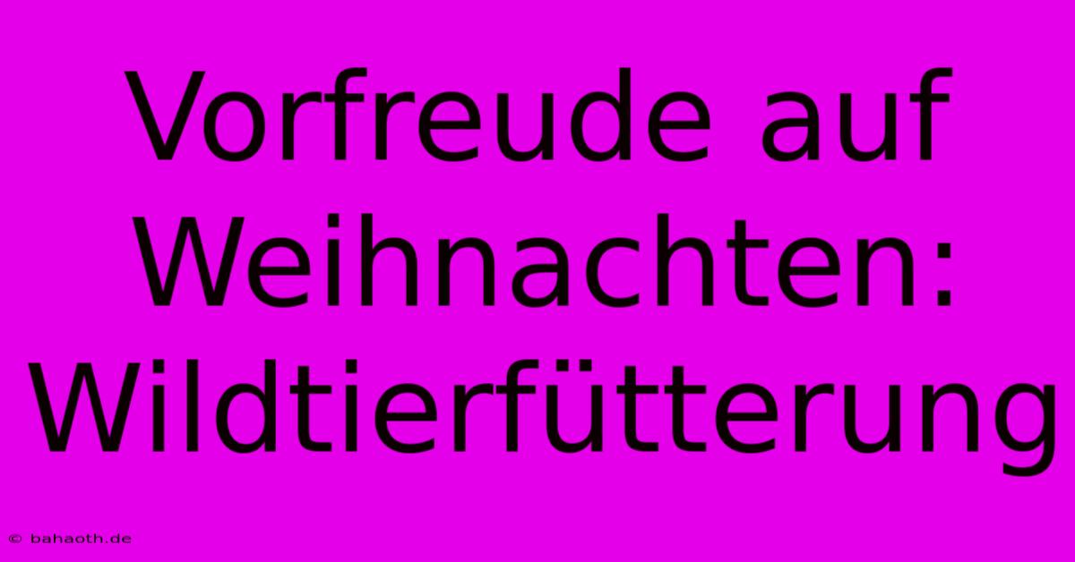 Vorfreude Auf Weihnachten: Wildtierfütterung