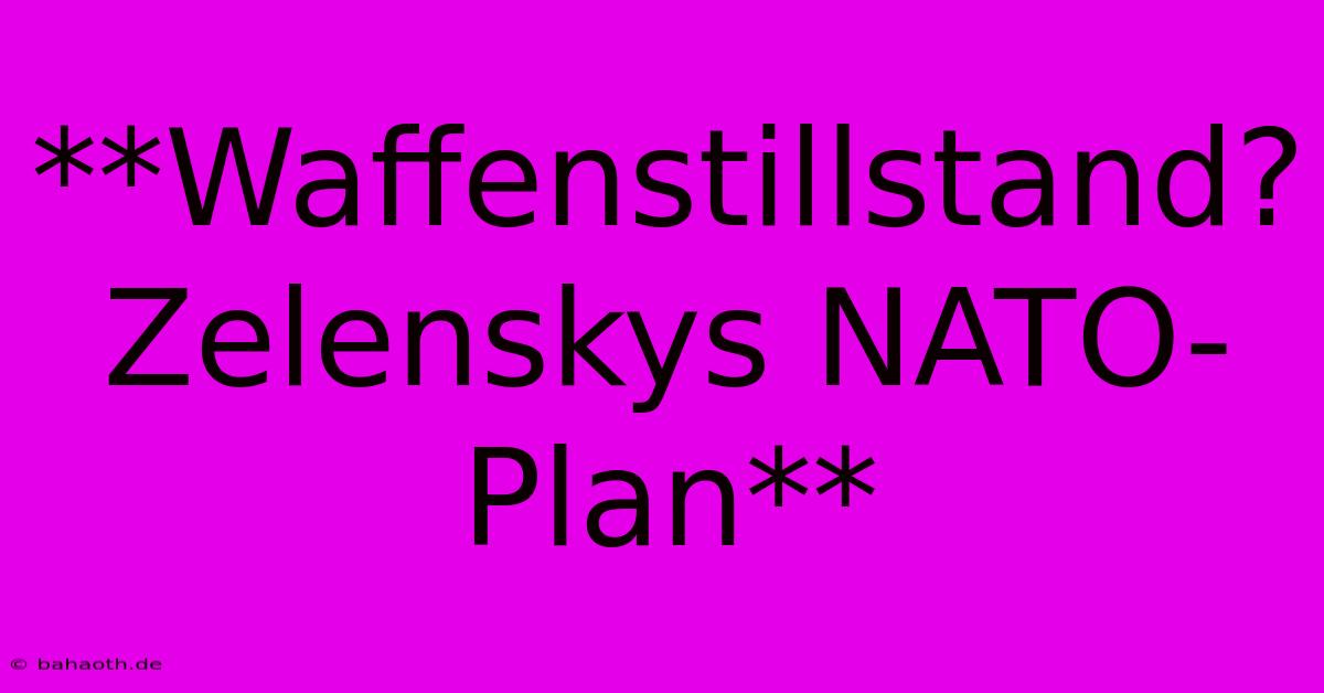 **Waffenstillstand? Zelenskys NATO-Plan**