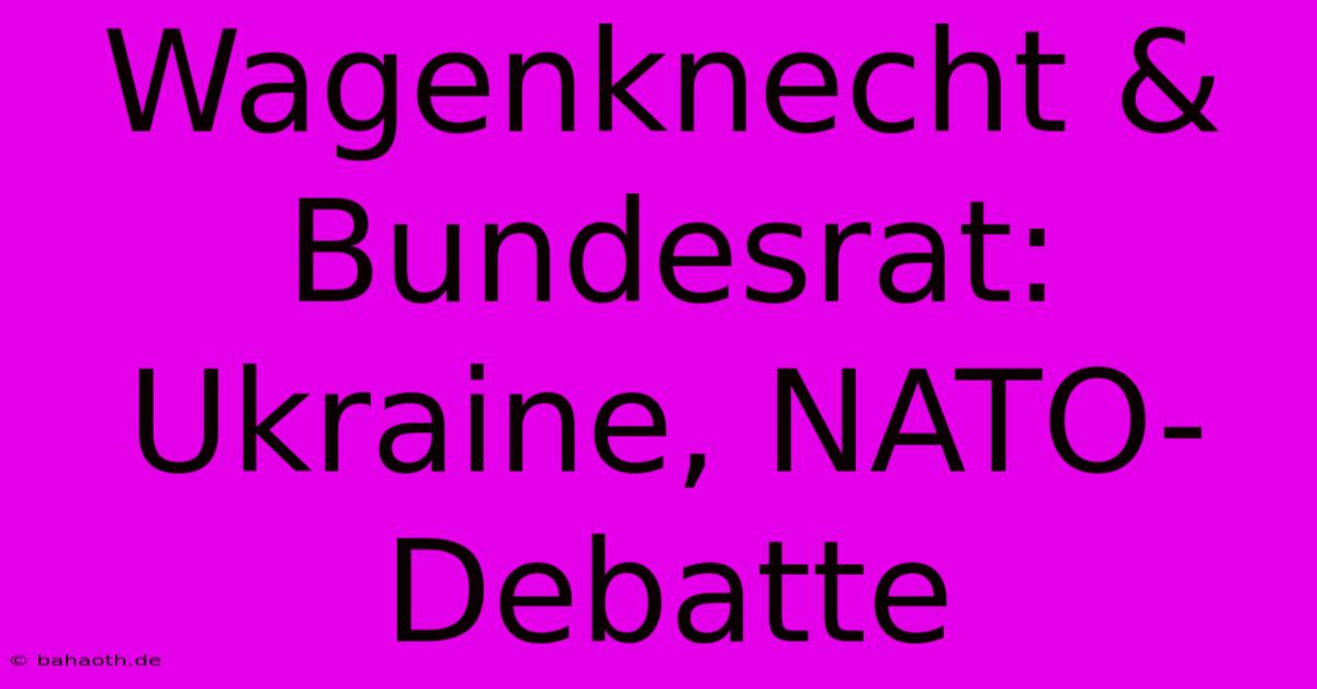 Wagenknecht & Bundesrat: Ukraine, NATO-Debatte