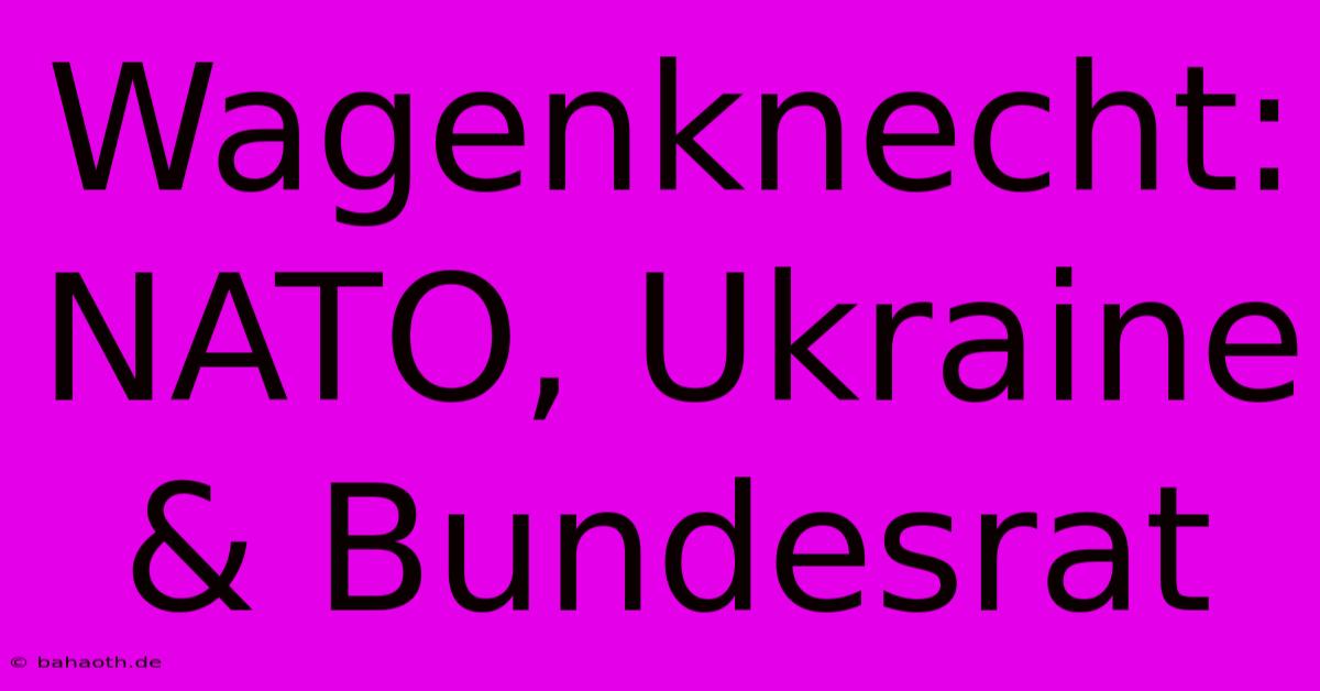 Wagenknecht: NATO, Ukraine & Bundesrat