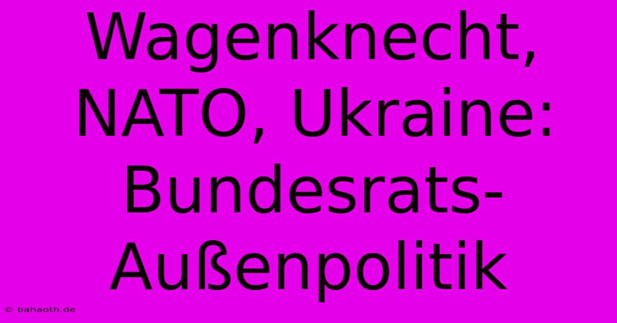 Wagenknecht, NATO, Ukraine: Bundesrats-Außenpolitik