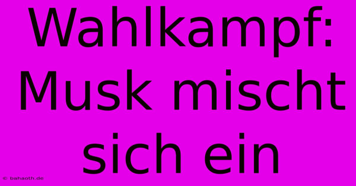 Wahlkampf: Musk Mischt Sich Ein