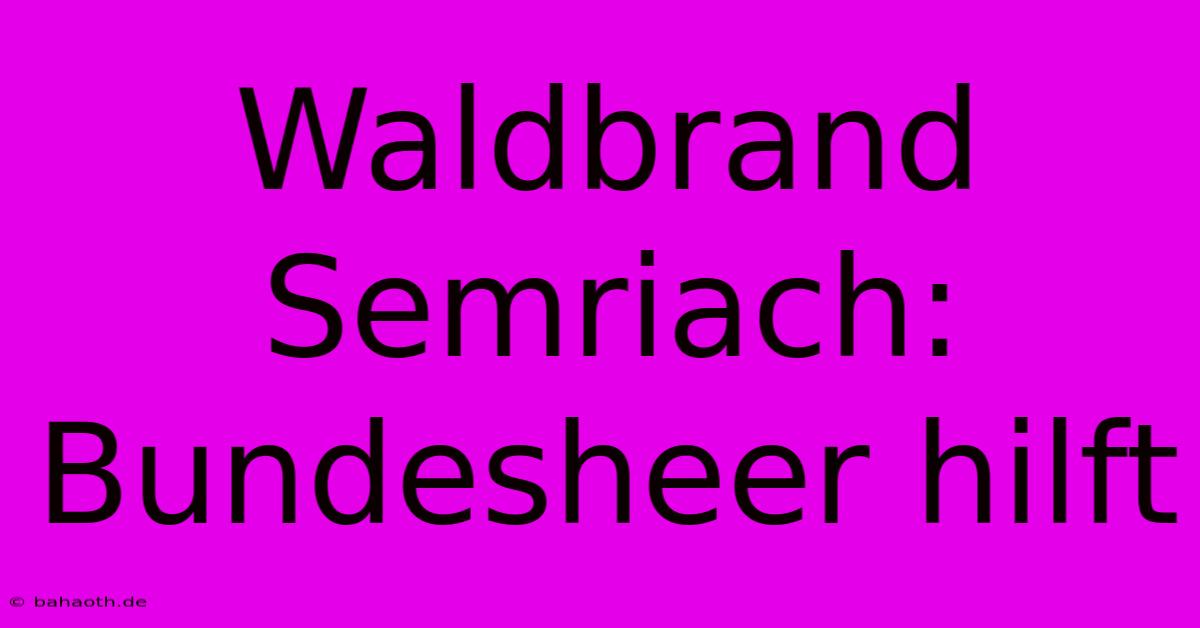 Waldbrand Semriach: Bundesheer Hilft