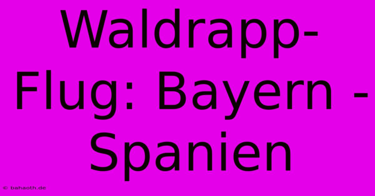 Waldrapp-Flug: Bayern - Spanien