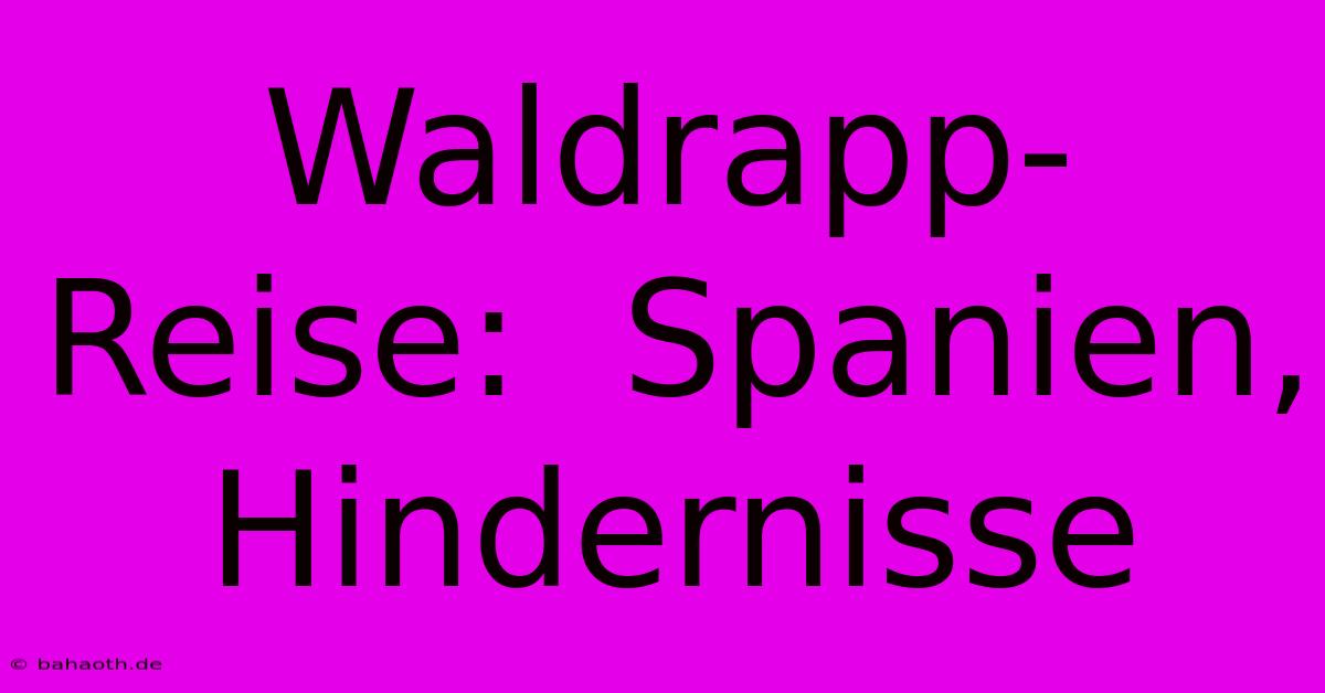 Waldrapp-Reise:  Spanien, Hindernisse