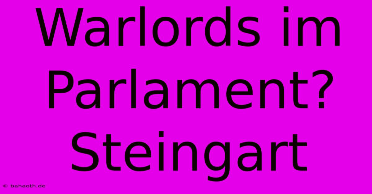 Warlords Im Parlament? Steingart