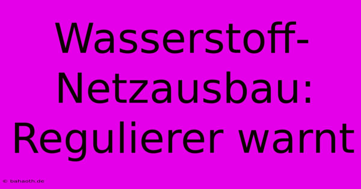 Wasserstoff-Netzausbau: Regulierer Warnt