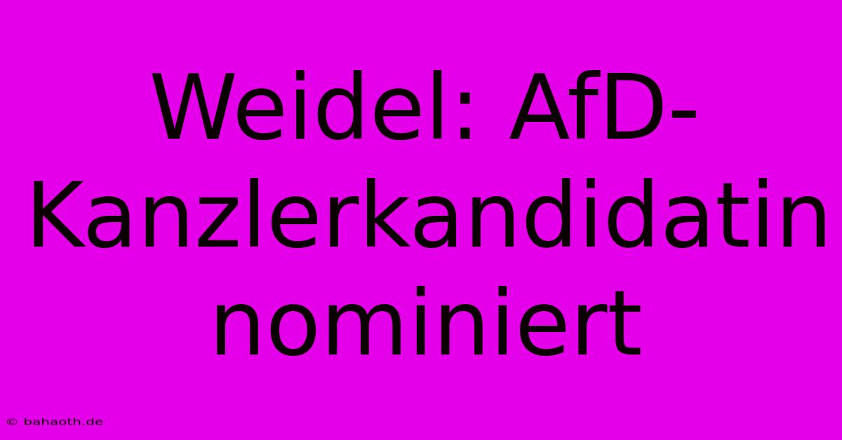 Weidel: AfD-Kanzlerkandidatin Nominiert