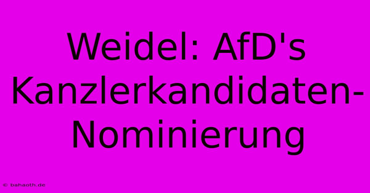 Weidel: AfD's Kanzlerkandidaten-Nominierung