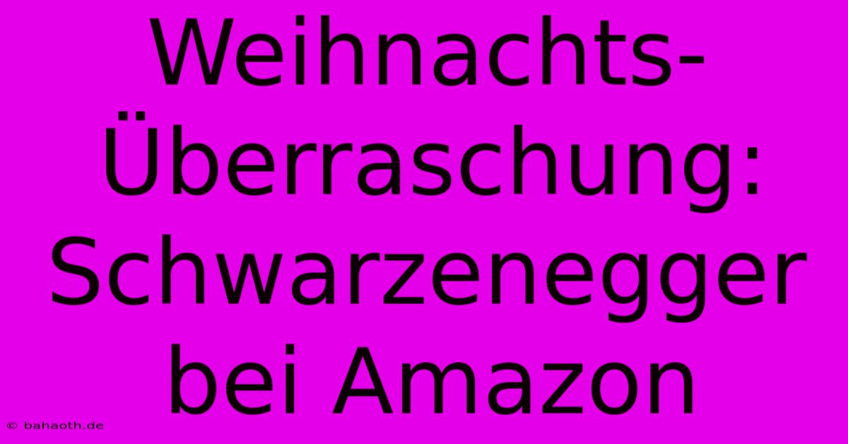 Weihnachts-Überraschung: Schwarzenegger Bei Amazon