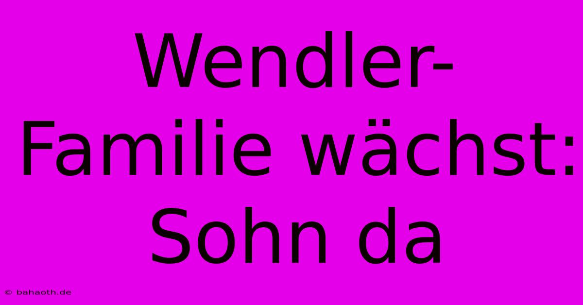 Wendler-Familie Wächst: Sohn Da