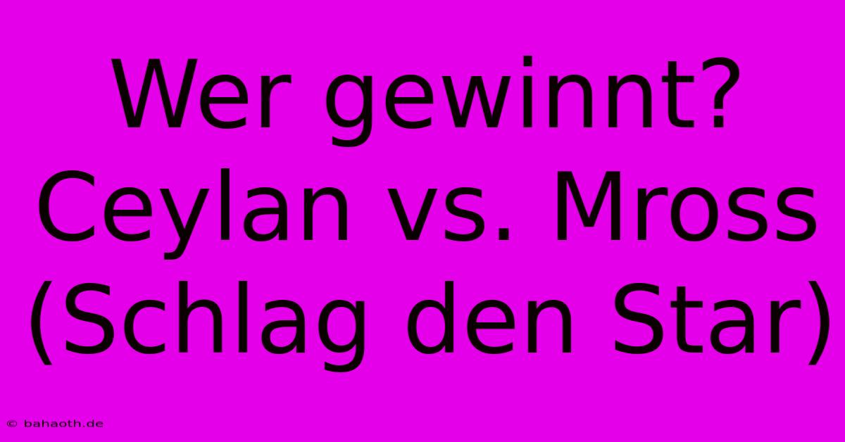 Wer Gewinnt? Ceylan Vs. Mross (Schlag Den Star)