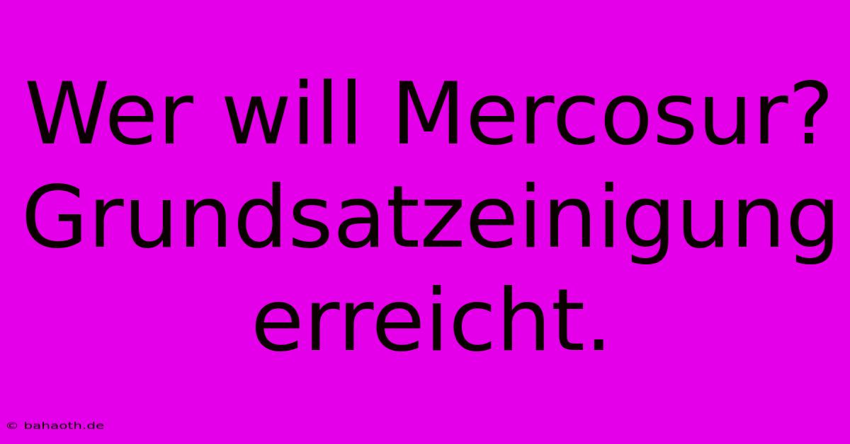 Wer Will Mercosur?  Grundsatzeinigung Erreicht.