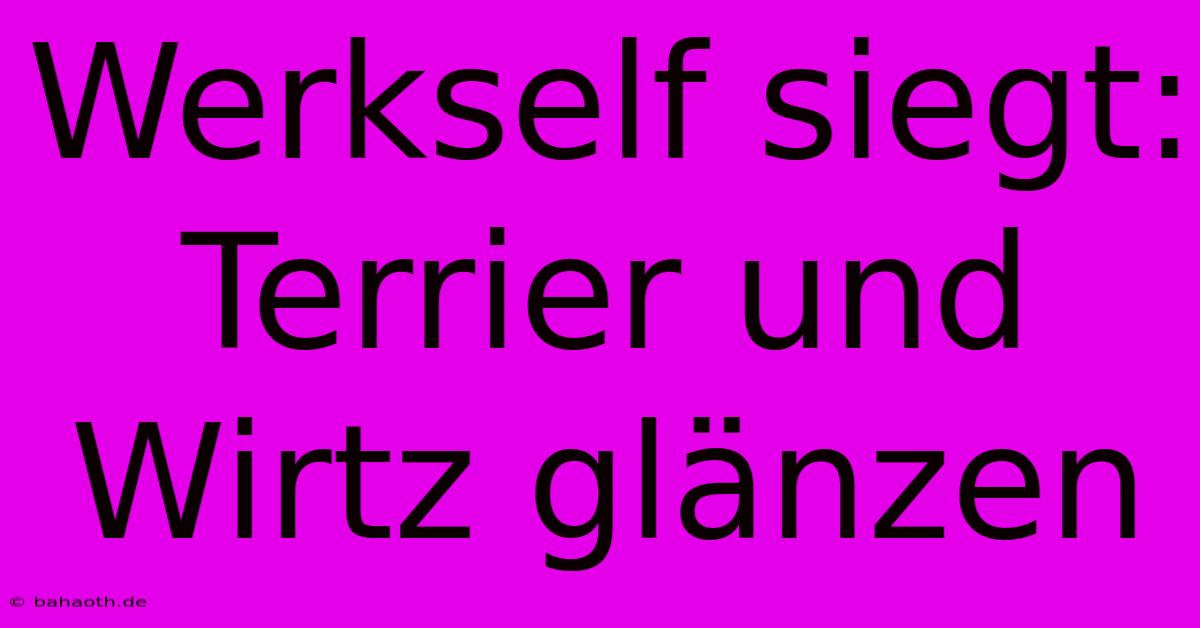 Werkself Siegt: Terrier Und Wirtz Glänzen