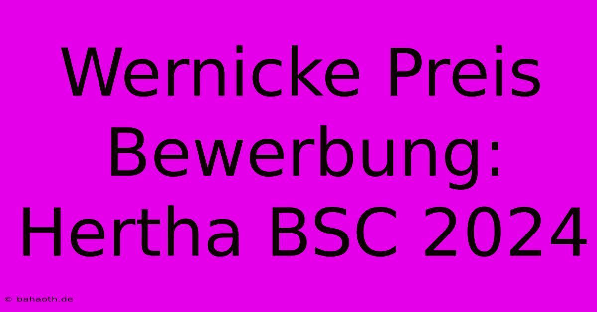 Wernicke Preis Bewerbung: Hertha BSC 2024