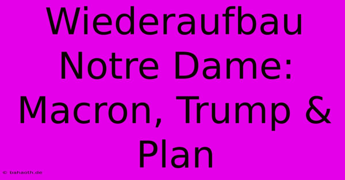 Wiederaufbau Notre Dame: Macron, Trump & Plan