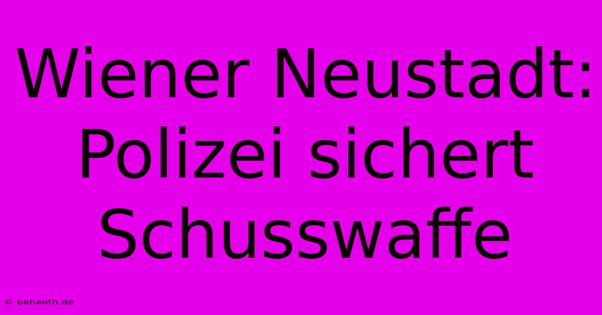 Wiener Neustadt: Polizei Sichert Schusswaffe