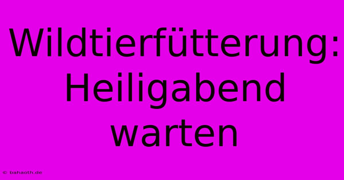 Wildtierfütterung: Heiligabend Warten