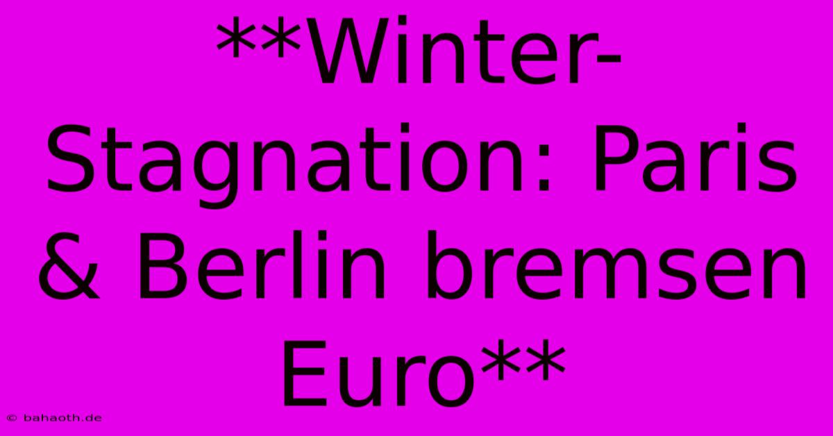 **Winter-Stagnation: Paris & Berlin Bremsen Euro**