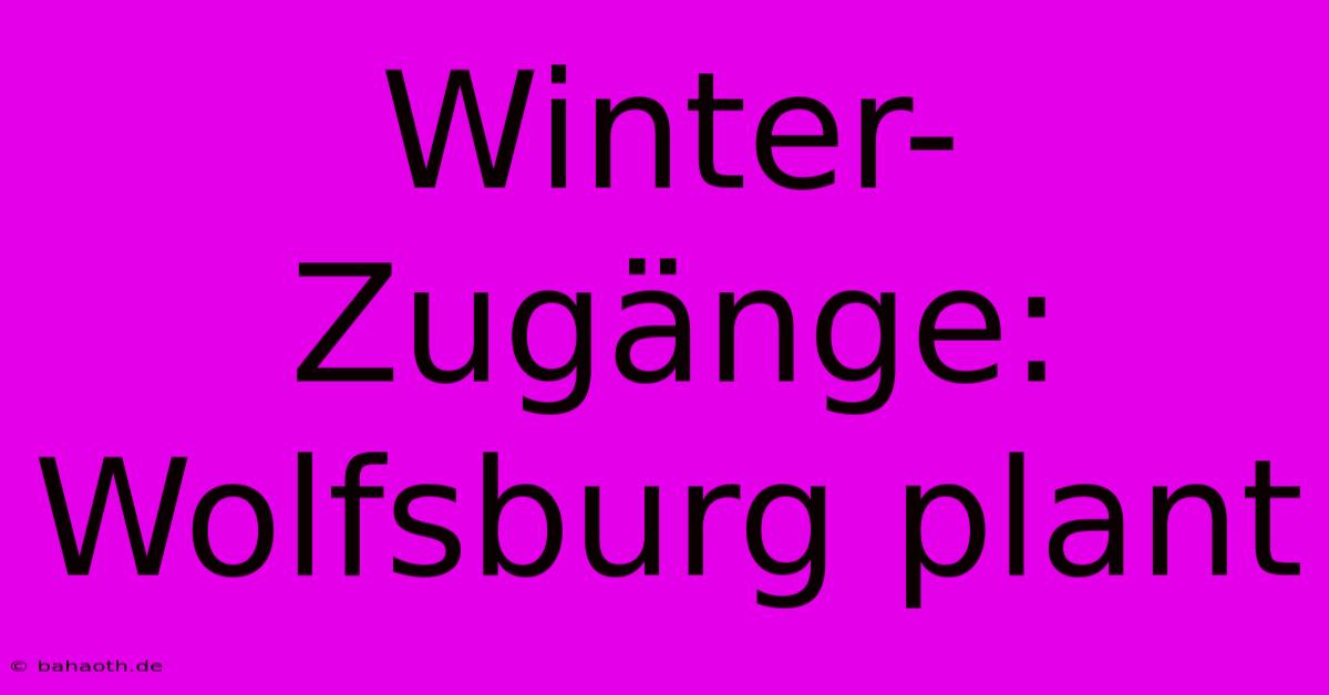 Winter-Zugänge: Wolfsburg Plant