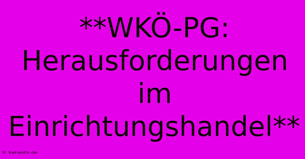 **WKÖ-PG: Herausforderungen Im Einrichtungshandel**