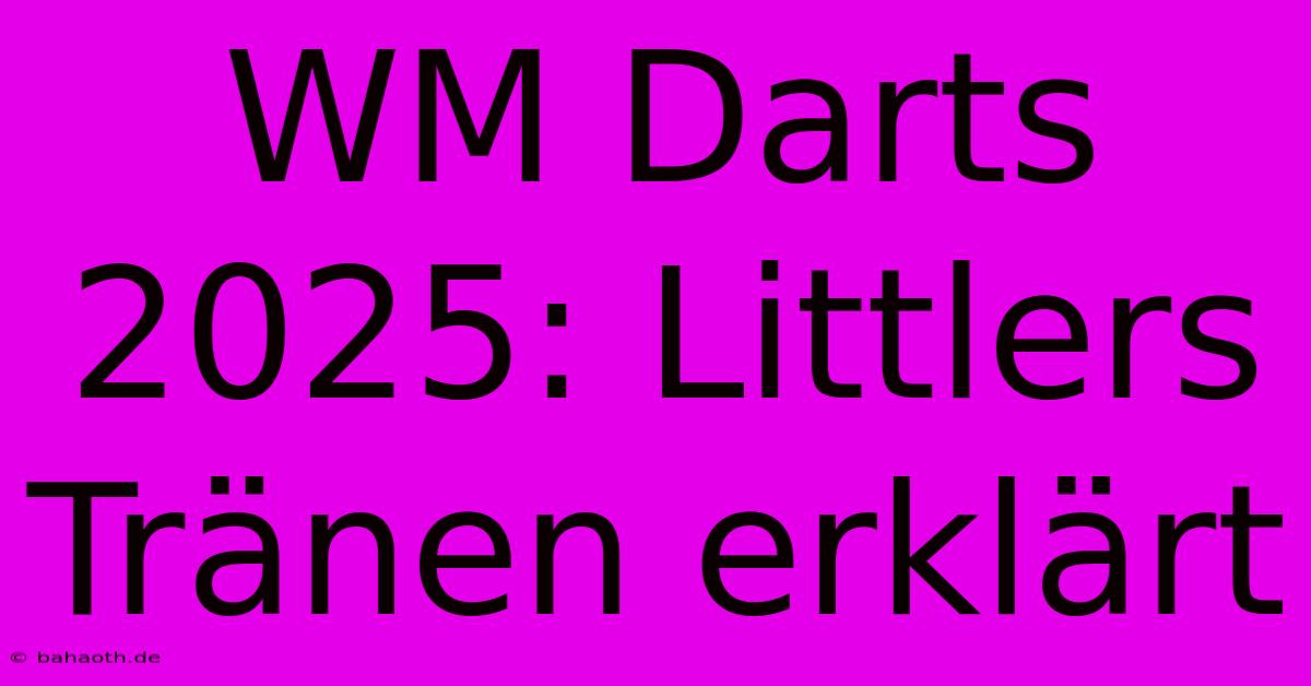 WM Darts 2025: Littlers Tränen Erklärt