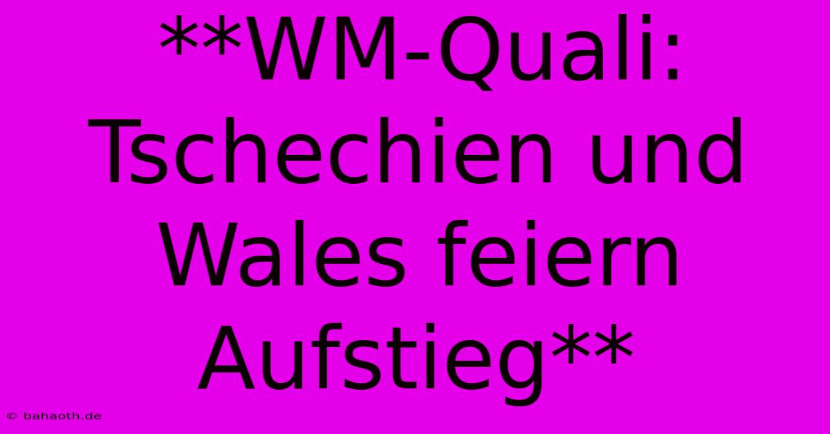 **WM-Quali: Tschechien Und Wales Feiern Aufstieg**