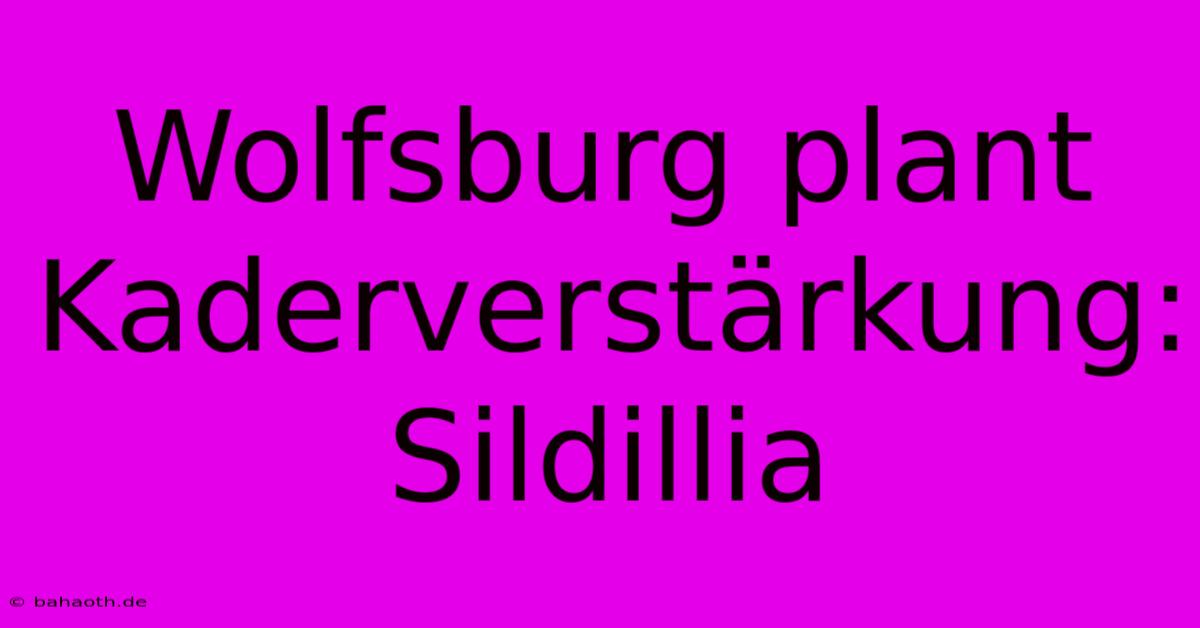 Wolfsburg Plant Kaderverstärkung: Sildillia