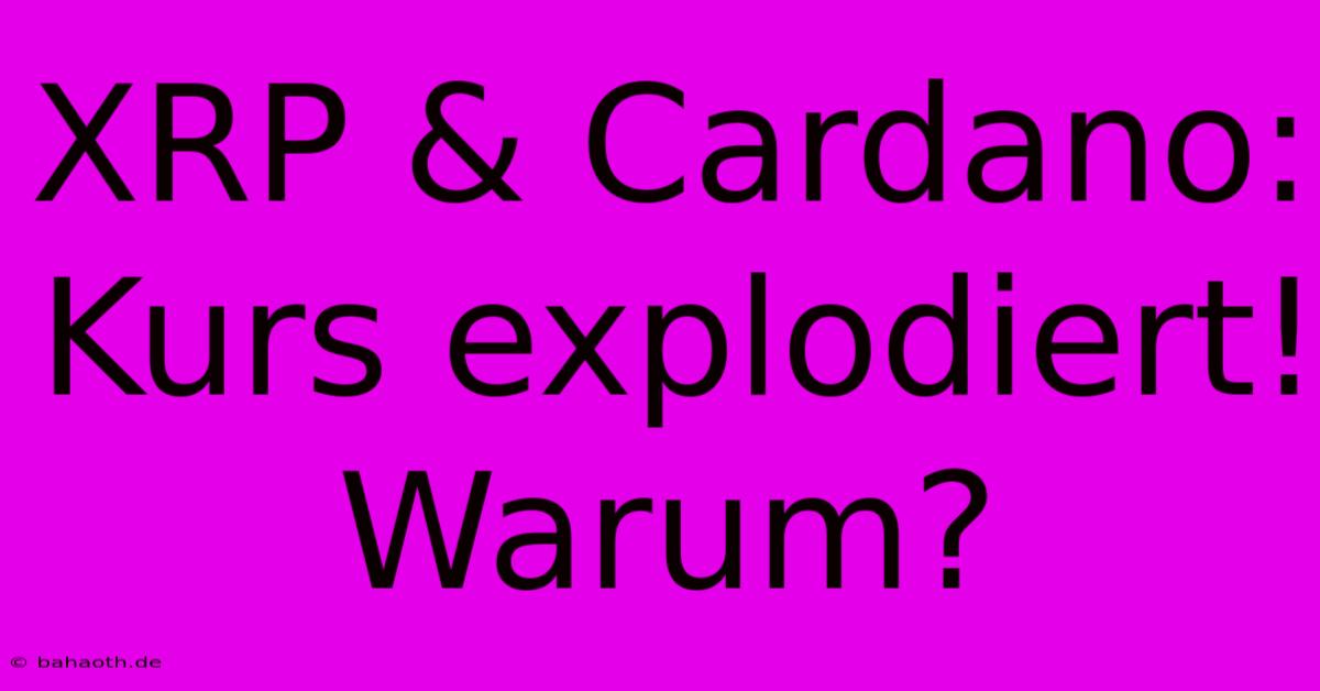 XRP & Cardano: Kurs Explodiert! Warum?