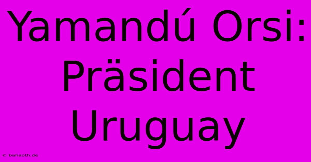 Yamandú Orsi: Präsident Uruguay