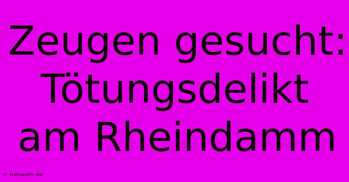 Zeugen Gesucht: Tötungsdelikt Am Rheindamm