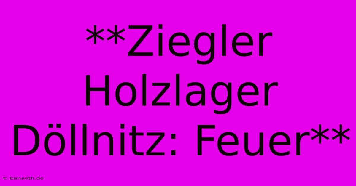 **Ziegler Holzlager Döllnitz: Feuer**