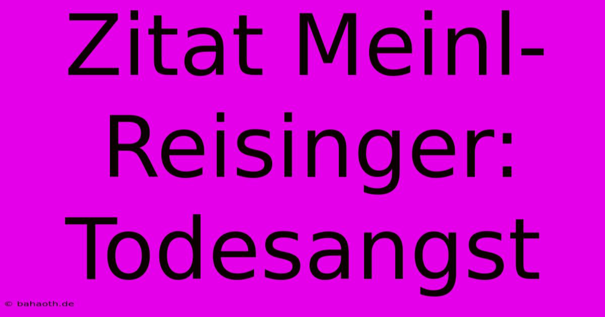 Zitat Meinl-Reisinger: Todesangst