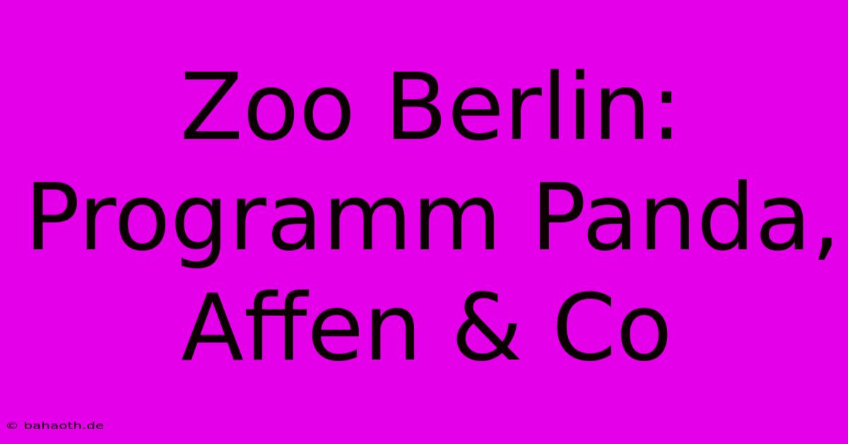 Zoo Berlin:  Programm Panda, Affen & Co