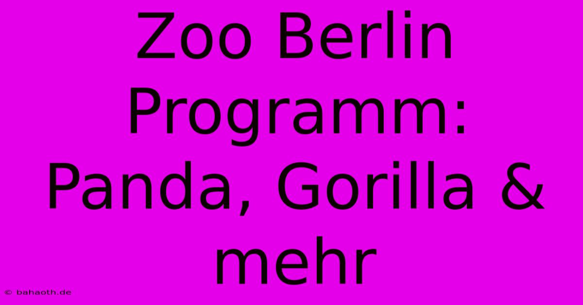 Zoo Berlin Programm: Panda, Gorilla & Mehr