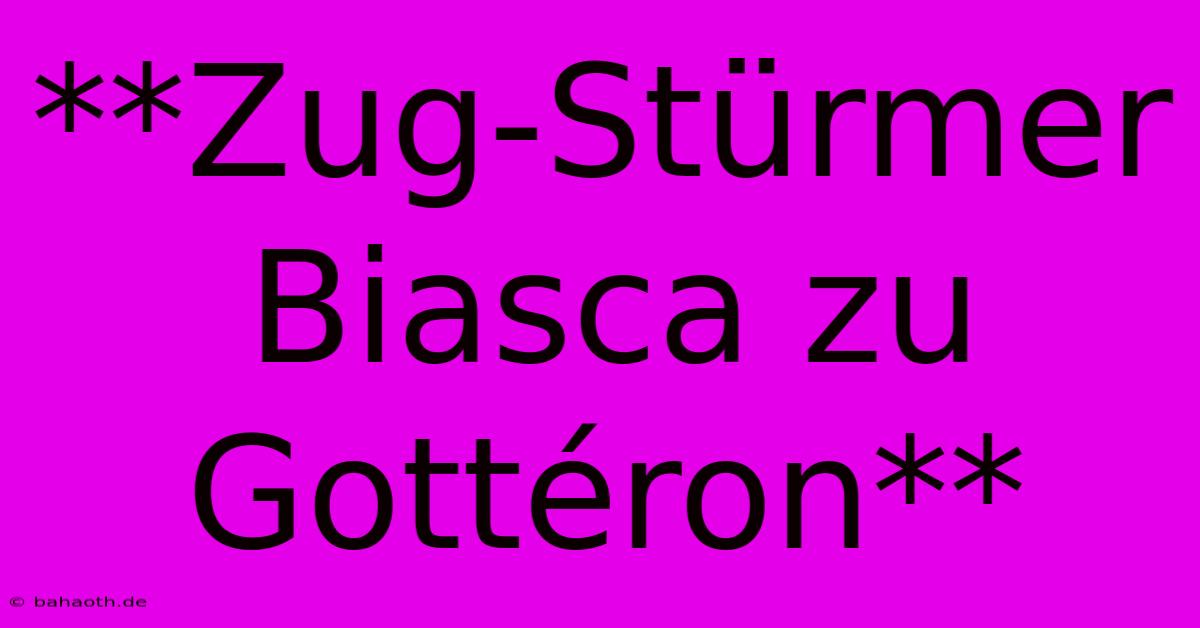 **Zug-Stürmer Biasca Zu Gottéron**