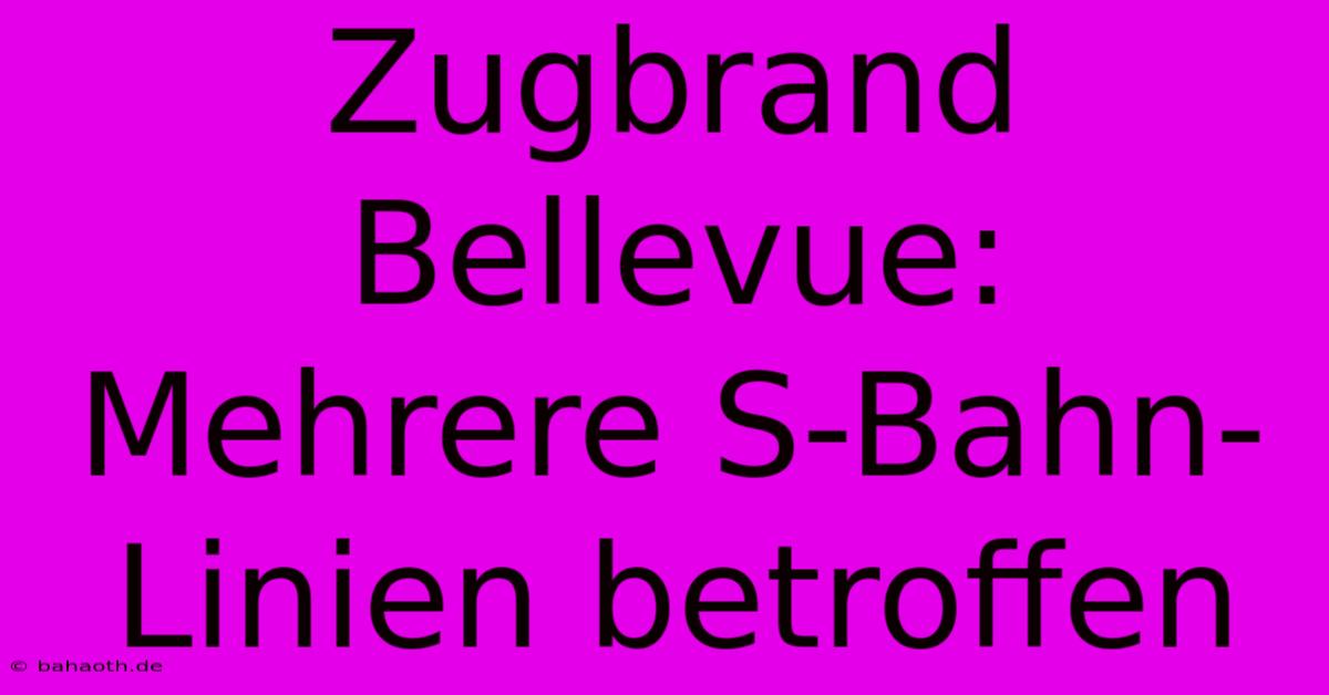 Zugbrand Bellevue: Mehrere S-Bahn-Linien Betroffen