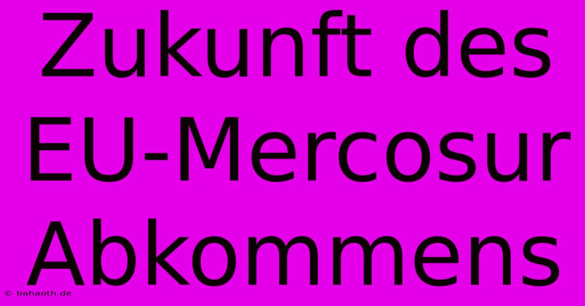 Zukunft Des EU-Mercosur Abkommens