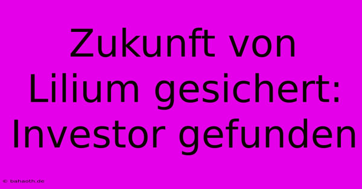 Zukunft Von Lilium Gesichert: Investor Gefunden